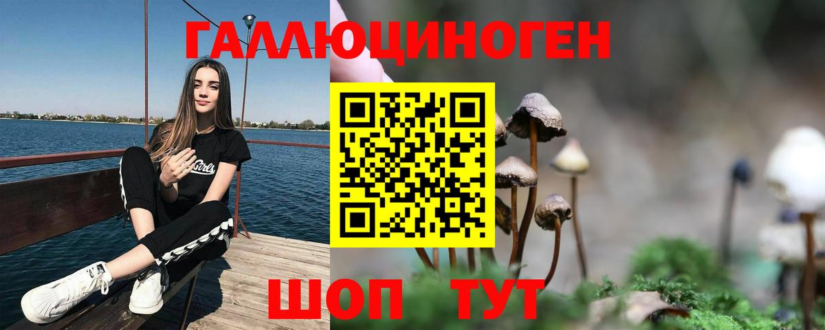 Мытищи  Псилоцибиновые грибы MAGIC MUSHROOMS  Вход с VPN 